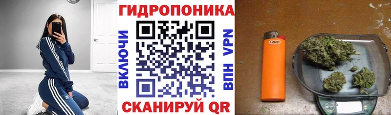 Где купить Трубчевск ГАШИШ  Бошки Шишки  СК  АМФ  КОКАИН  kraken зеркало  МЕФ  LSD-25 